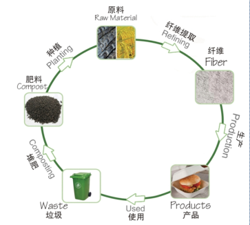 為什么說(shuō)紙漿模塑是循環(huán)經(jīng)濟(jì)產(chǎn)業(yè)鏈條